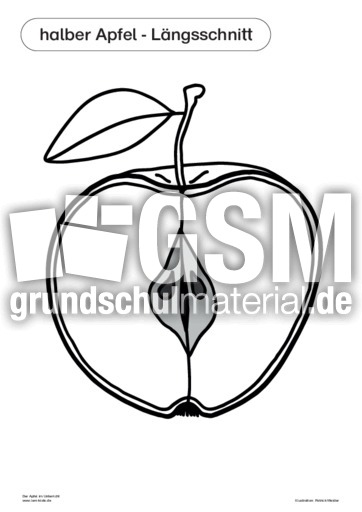 Der Apfel im Unterricht 18.pdf